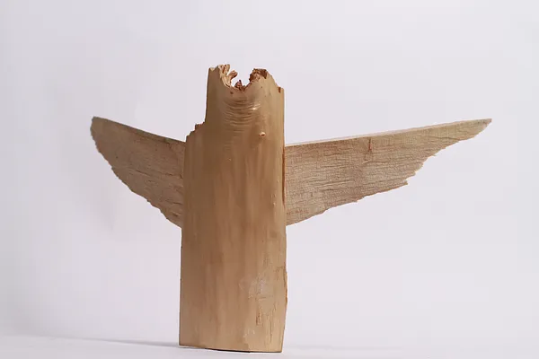 Зображення " крилатий" від Денис Шиманський, розмір: 50х35х25, матеріали: дерево, медіум: Скульптура, місто: львів, ціна: $500 Фото 7 з 8.