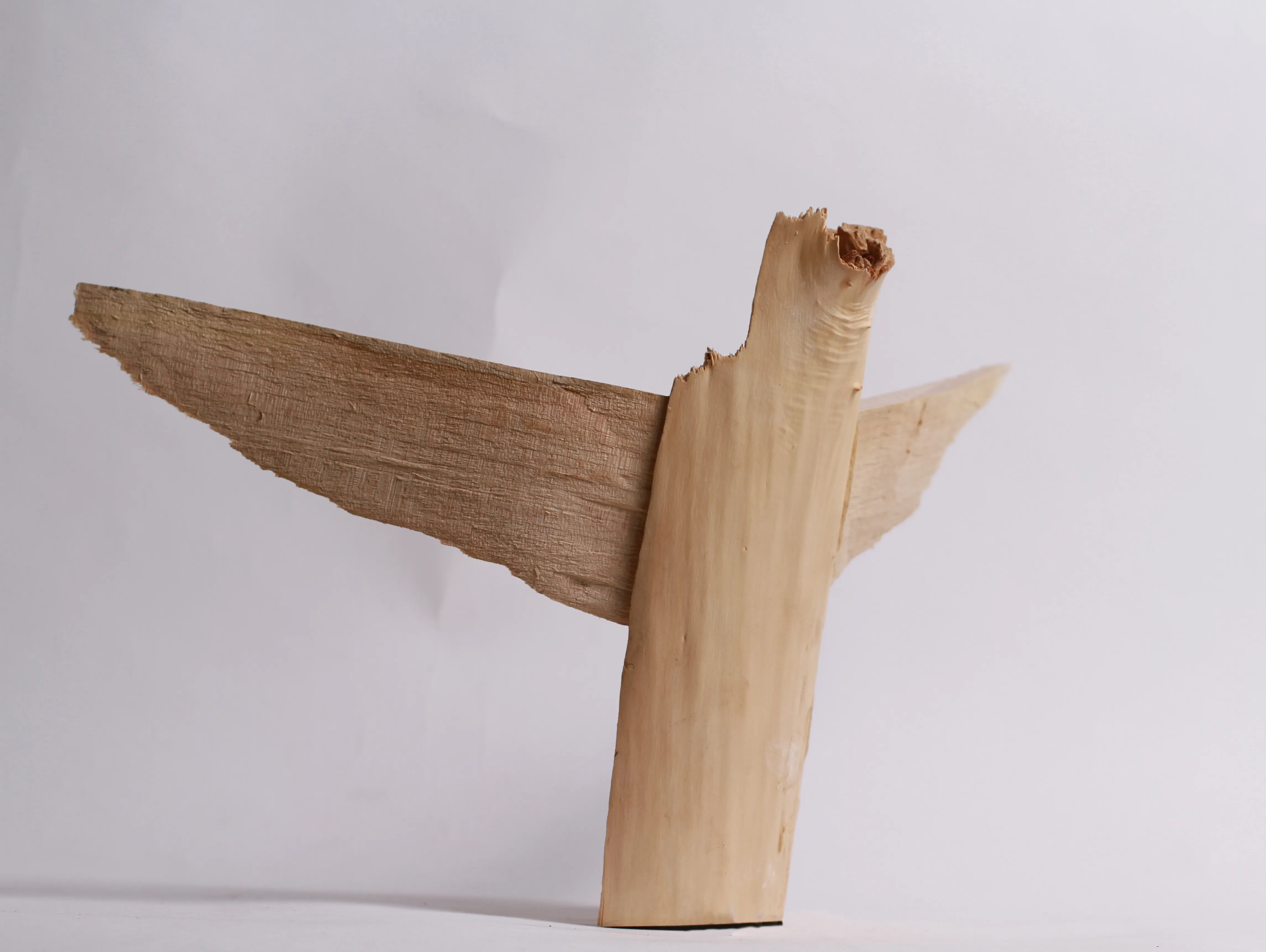 Image of  крилатий by Denys Shimanskyi, size: 50х35х25, Sculpture medium, priced at $500 Photo 3 of 8.