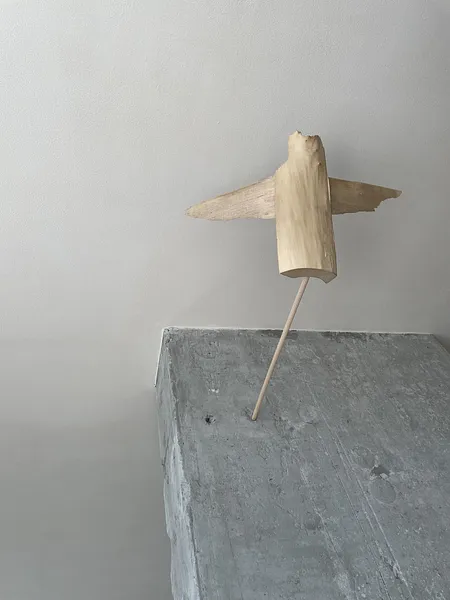 Image of  крилатий by Denys Shimanskyi, size: 50х35х25, Sculpture medium, priced at $500 Photo 5 of 8.